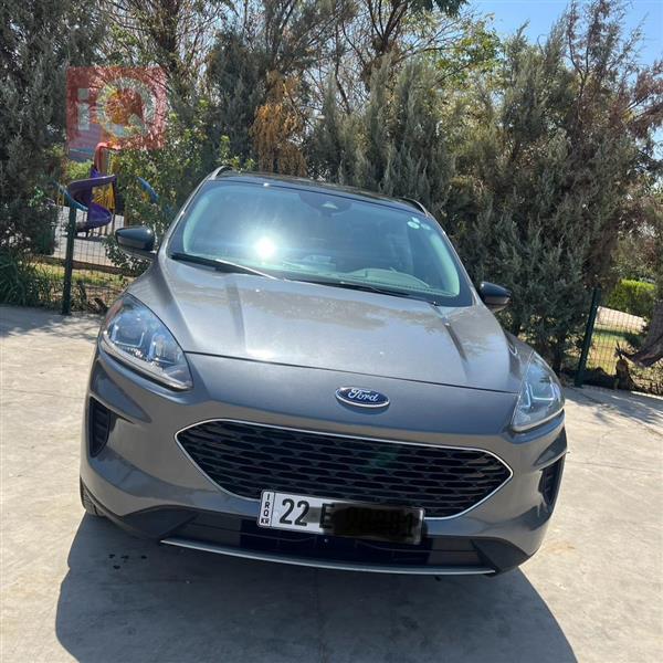 Ford for sale in Iraq